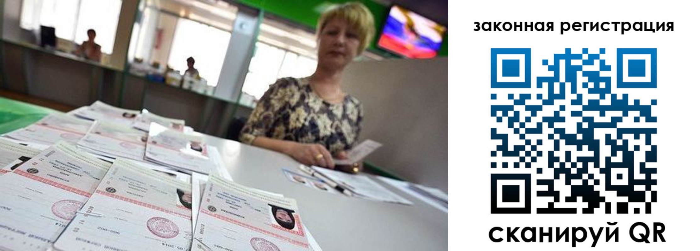 прописка поиск в Димитровграде